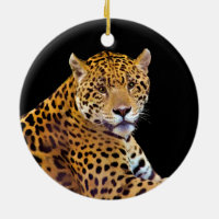 Spoted Jaguar Big Cat-älskare #Gift