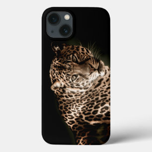Spoted Leopard Starring