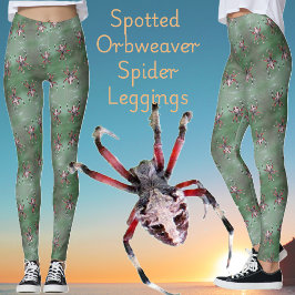 Spoted Orbweaver Spider Leggings