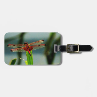 Spoted Red and Black Dragonfly Bagagebricka