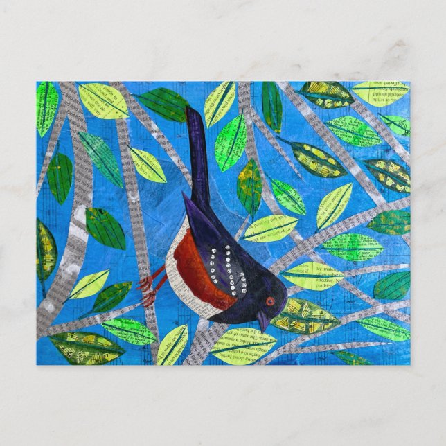 Spoted Towhe Vykort (Framsida)