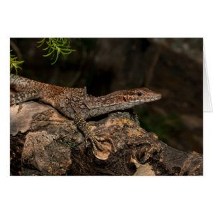 Spoted Träd Monitor Hälsningskort