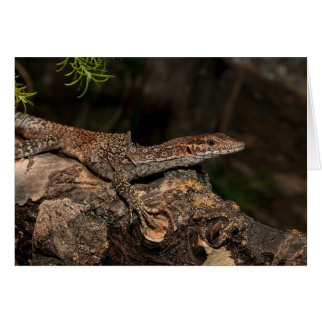 Spoted Träd Monitor Hälsningskort (Framsidan Horizontal)