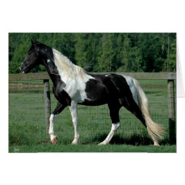 Spoted Walker Hälsningskort