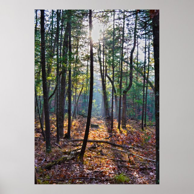 Spotlight på en klump poster (Framsidan)