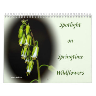 Spotlight på kalendern för Springtime-jaktblommo Kalender