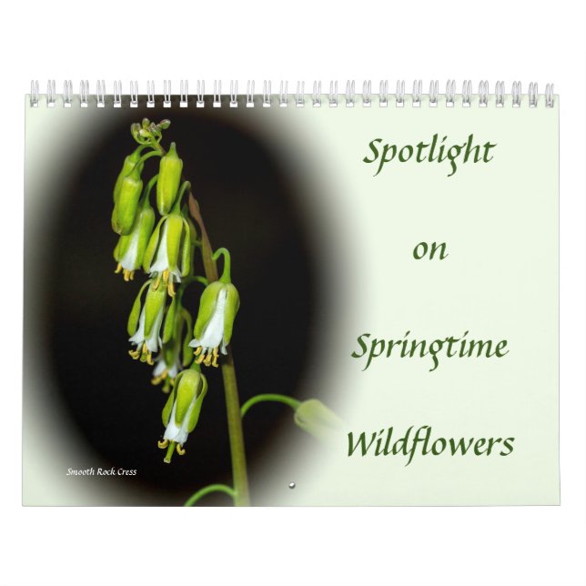 Spotlight på kalendern för Springtime-jaktblommor Kalender (Omslag)