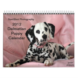 SpotShot fotografi 2012 kalender