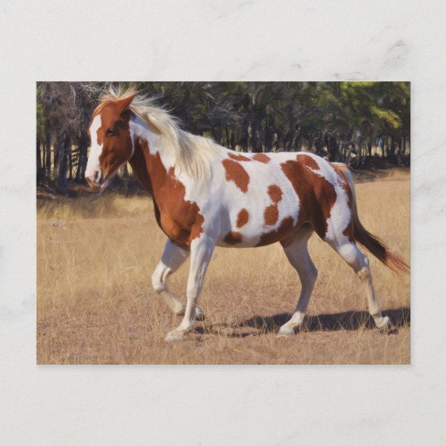 Spottad Vykort (Framsida)