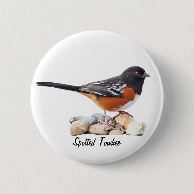 SPOTTED TOWHEE KNAPP (Framsida)