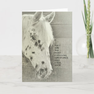SPOTTERAT PONY-gratulationskort Tack Kort