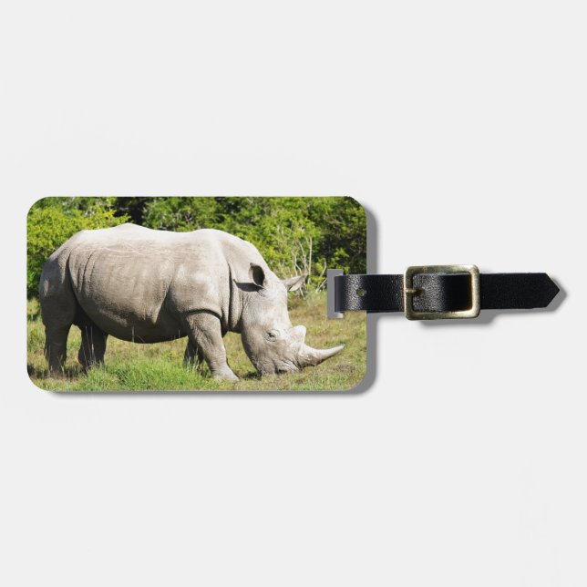 Spotting av en noshörning som matar stund på bagagebricka (Horisontell Framsida)