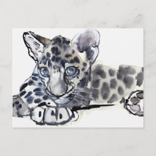 Spotty Vykort