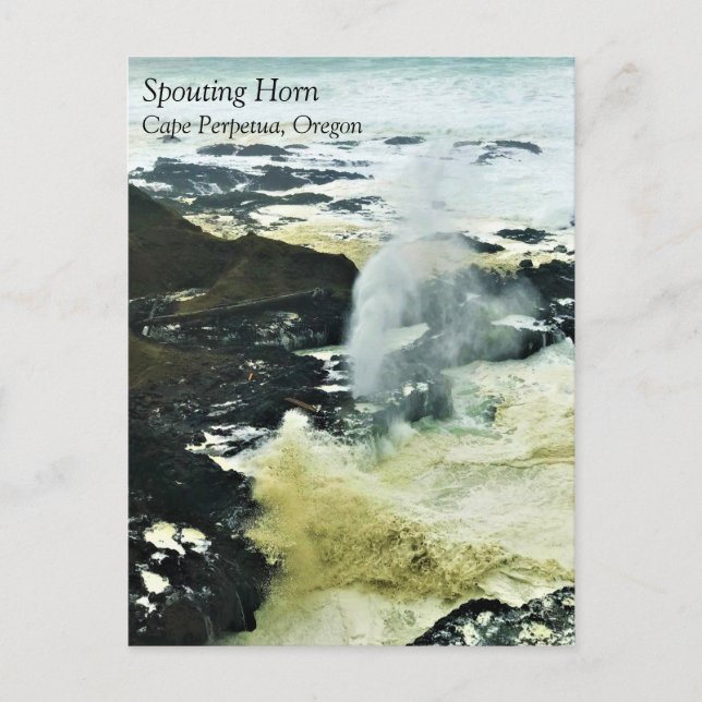 Spouting Horn, Cape Perpetua, Oregon Kusten Postca Vykort (Framsida)