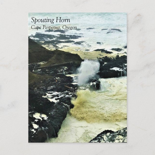 Spouting Horn, Cape Perpetua, Oregon Kusten Postca Vykort (Framsida)
