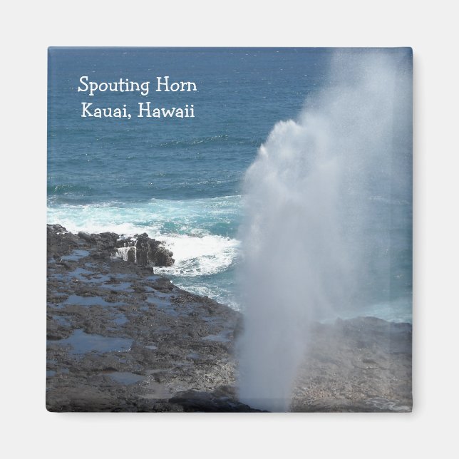 Spouting Horn i Kauai, Hawaii Magnet (Framsidan)
