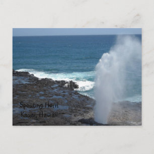 Spouting Horn Kauai, Hawaii Vykort