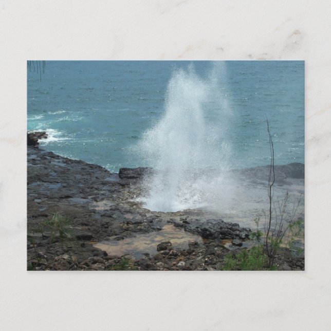 Spouting Hornvykort Vykort (Framsida)