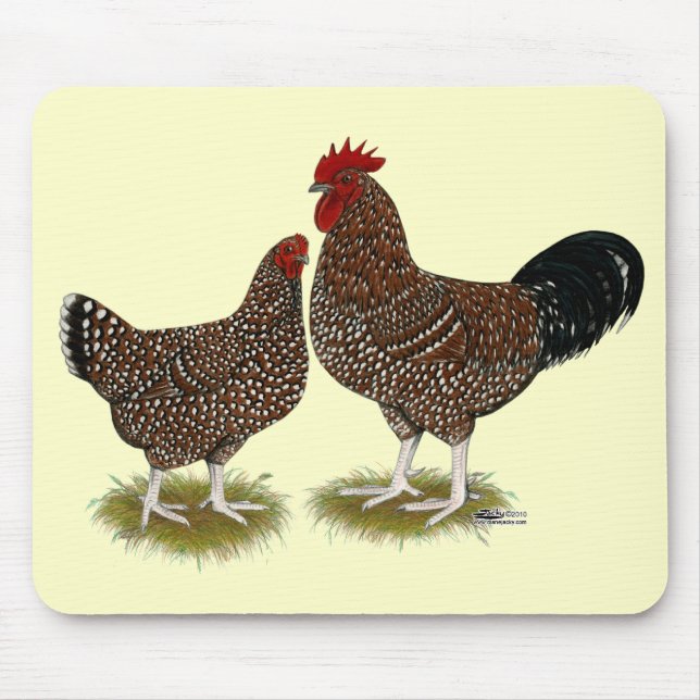Spräckliga Sussex hönor Musmatta (Framsidan)