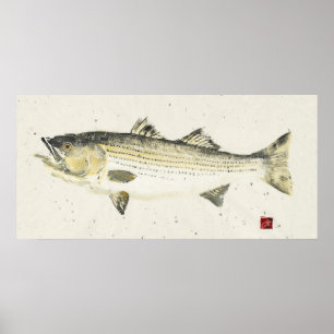 Spräckligt papper för randig Bass/ Poster