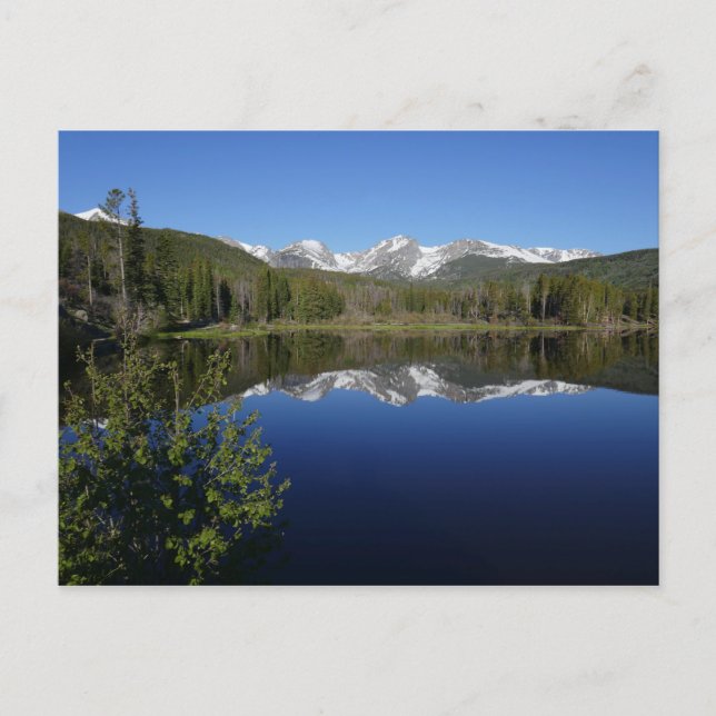 Sprague Lake I i Rocky Mountain National Park Vykort (Framsida)