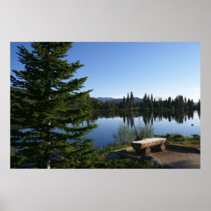 Sprague Lake Utsikt Poster