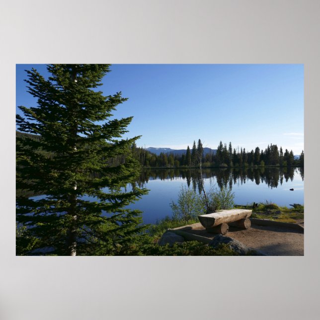 Sprague Lake Utsikt Poster (Framsidan)