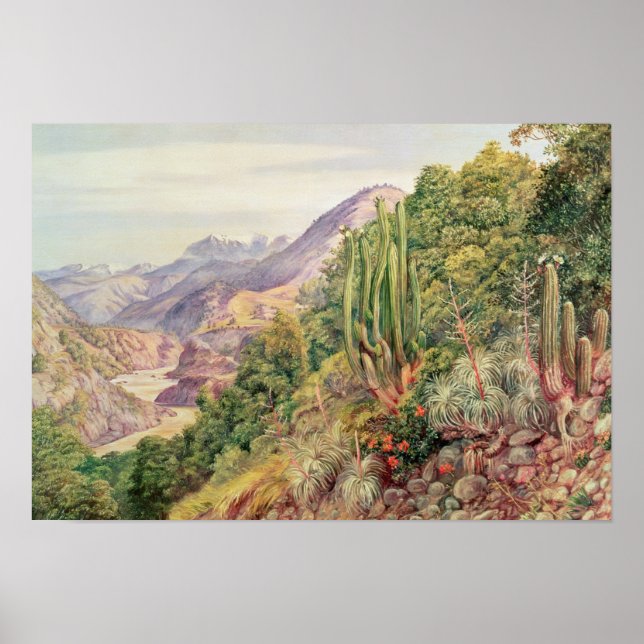 Språkströmmarna i Cordellera, Chile Poster (Framsidan)