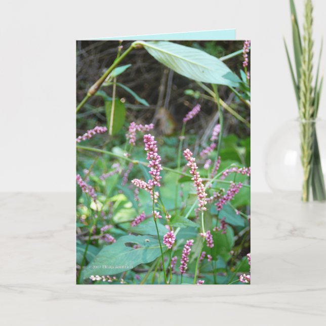 Spräng av Pinks Kort (Framsida)