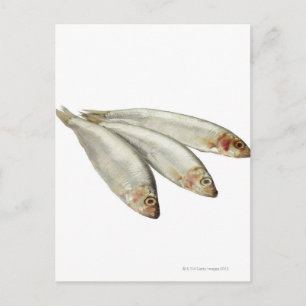Sprats Vykort