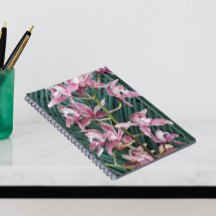 Spray of Rosa Cymbidium Orchids Blommigt