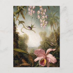 Spray Orchids med Hummingbird Postcard Vykort