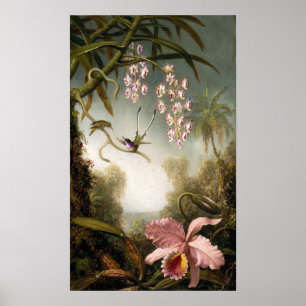 Spray Orchids med Hummingbird Poster