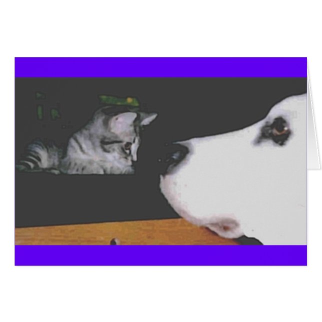 Spree&kichou Hälsningskort (Framsidan Horizontal)