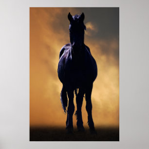 Sprejad häst poster