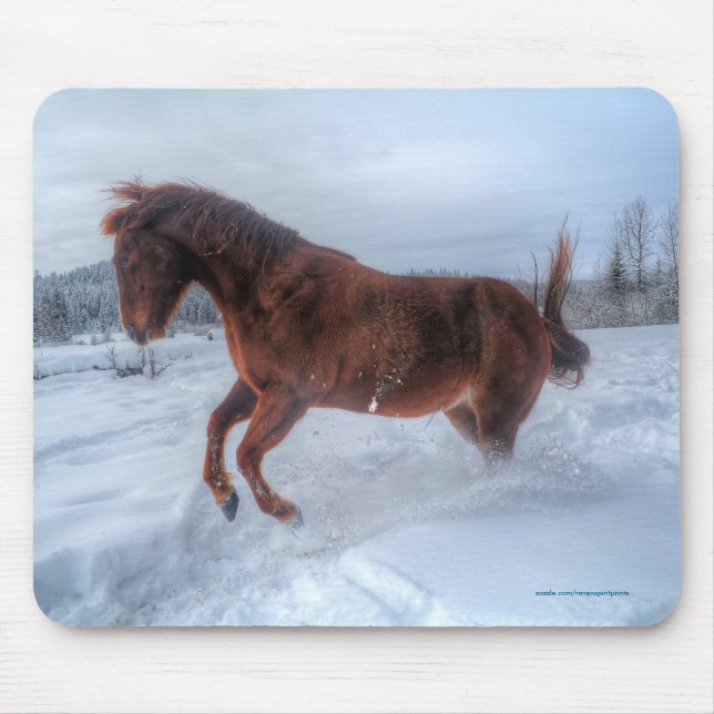 Sprejad Sorrel Horse Rearing up in Winter Snö Musmatta (Framsidan)