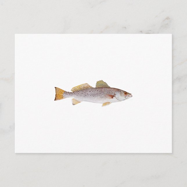 Sprickad havsbotten vykort (Framsida)