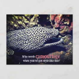 Sprickad malayål under vatten helg vykort