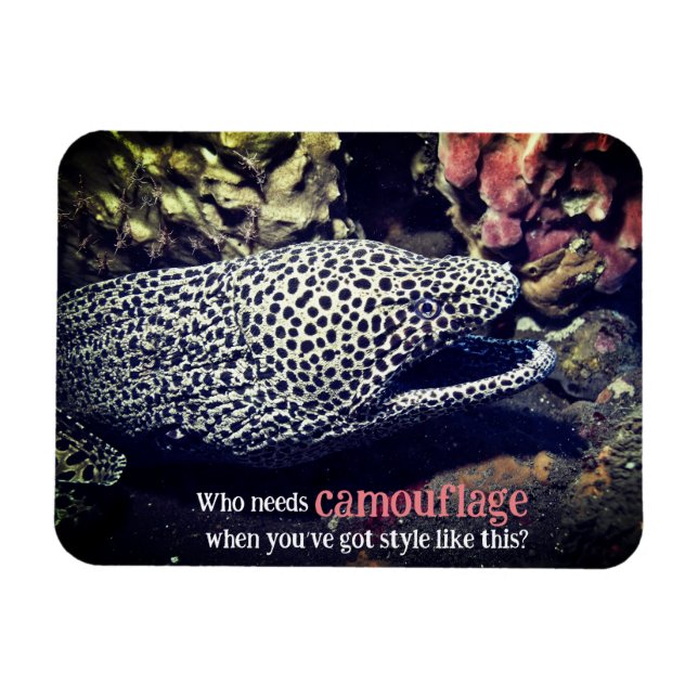 Sprickad malayål under vatten magnet (Horisontell)