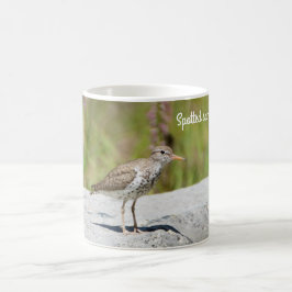 Sprickad sandpiper kaffemugg