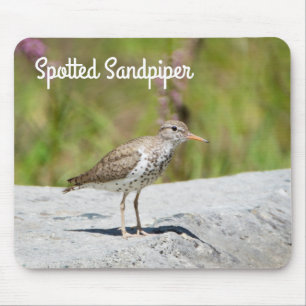 Sprickad sandpiper musmatta