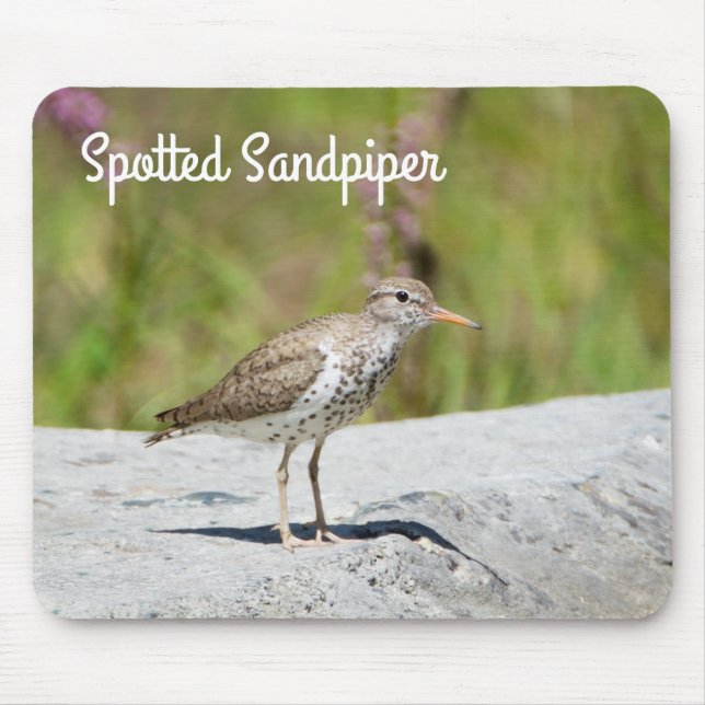 Sprickad sandpiper musmatta (Framsidan)