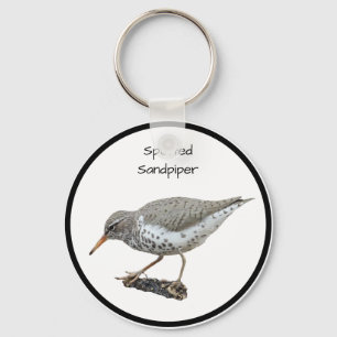 Sprickad sandpiper nyckelring