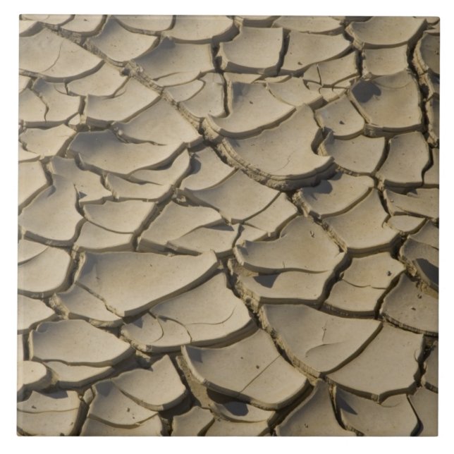 Sprickig lera formation på dalgolvet i kakelplatta (Framsidan)