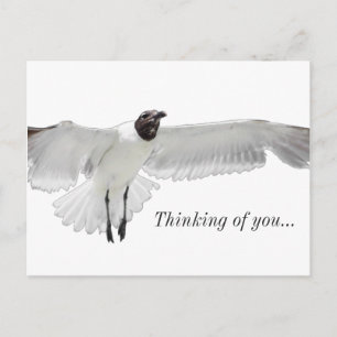 Sprid de där Vingar PNG tänker på dig Vykort