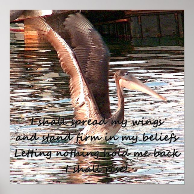 Sprid dina vingar_ poster (Framsidan)