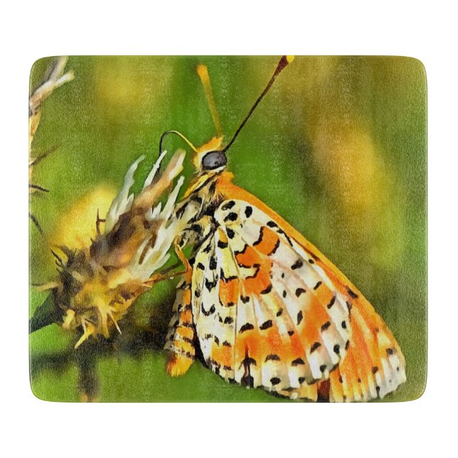 Sprid Fritillary Orange och White Butterfly (Framsidan)