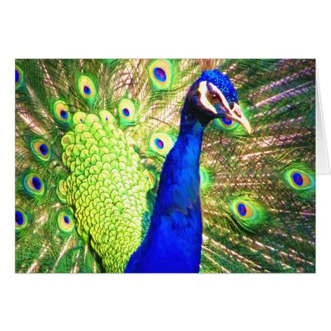 Sprid Kärleken Hälsningskort (Framsidan Horizontal)