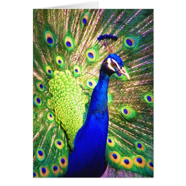 Sprid Kärleken Hälsningskort (Framsidan)