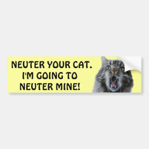 Sprid och Neuter katten. Skuggad Kattunge Bildekal